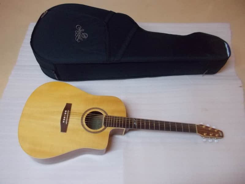 Seagull Artist Series Mahogany Spruce CW acoustic-guitar w-TRIC case NICE 2001 image 1