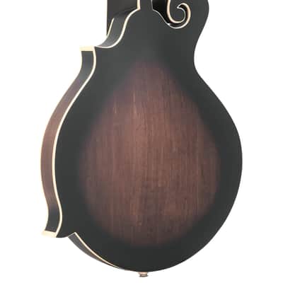 Gold Tone F-12: 12-string F-style Mando-Guitar with Pickup and Case image 8