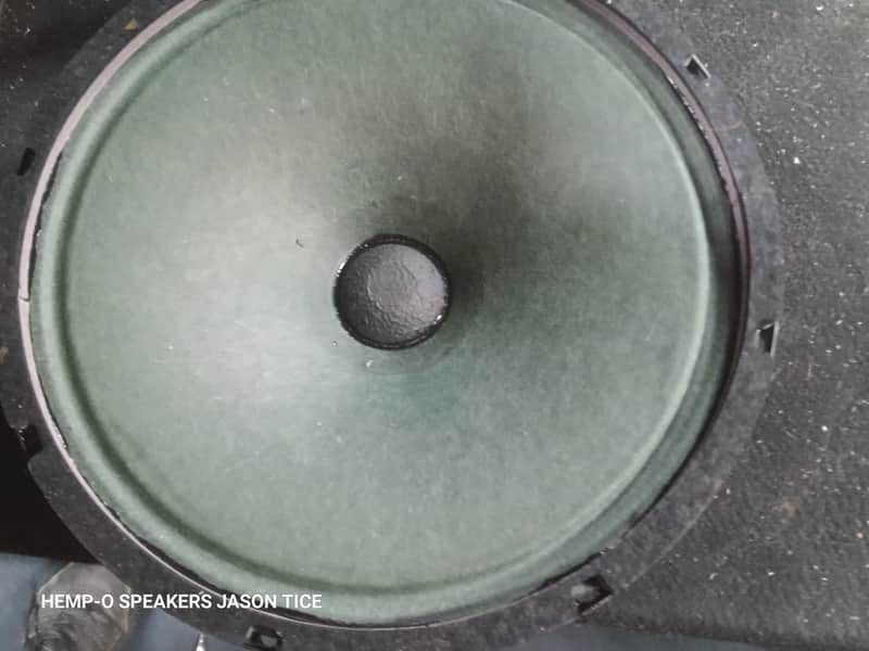 JENSEN C12S-H HEMP FIBER CONE GUITAR SPEAKER 8 OHM 30 WATT FAT THICK MEATY TONALITY1966 image 1