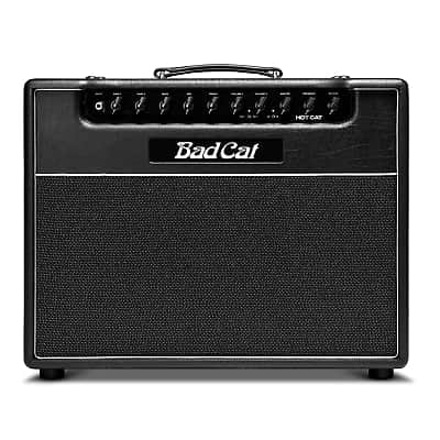 Bad Cat Hot Cat Handwired Series 2-Channel 45-Watt 1x12