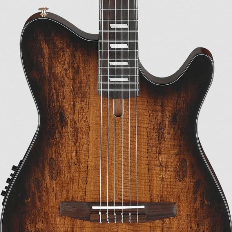 IBANEZ FRH20SMN TCL Tobacco Burst Low Gloss 6-String Classical Electric Guitar image 1