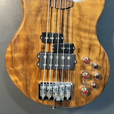 Alien Audio Constellation 5 string image 2