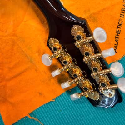 Trinity College TM-250 Celtic Mandolin – All-Solid Woods, One-Owner "Closet Classic" with Mint Original Hardshell Case image 13