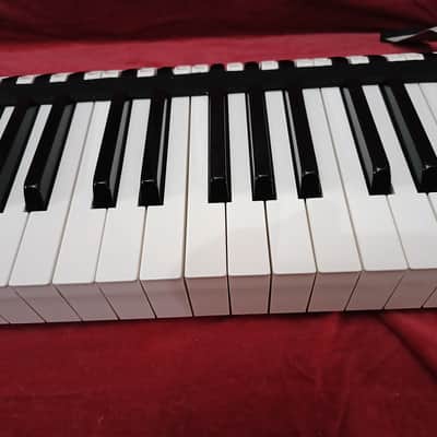 YAMAHA 88L 88H Complete 88 Keys Weighted Style 47W KORG T1 01W PRO X YAMAHA KX88 image 3