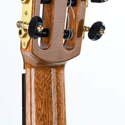 Cordoba Master Series Torres 2020 image 6