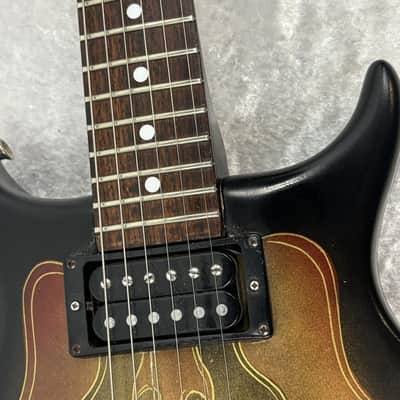 Washburn Raven electric guitar / flaming eagle refinish + Tweed case image 17