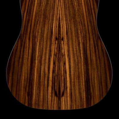 Taylor 210ce Plus #45338 (Demonstration Model) image 2