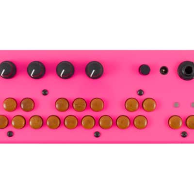 Critter & Guitari Bolsa Bass | Reverb
