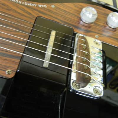 AMPEG Dan Armstrong ADA-6 1999 Smoke image 13