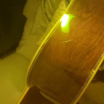 K Yairi YW800G 1977 Brazilian Rosewood image 7