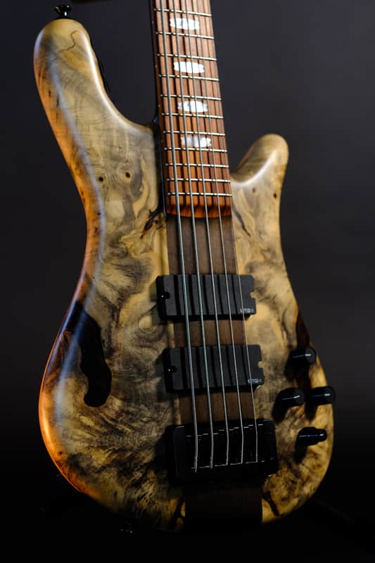 Spector (USA) NS-5 Neck-Thru 2024 - Buckeye Burl image 1