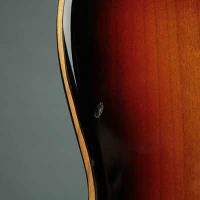 Fernandes Native    Sunburst Great Player guitar 1 Humbucker in bridge  1 Tele Neck Pickup image 10