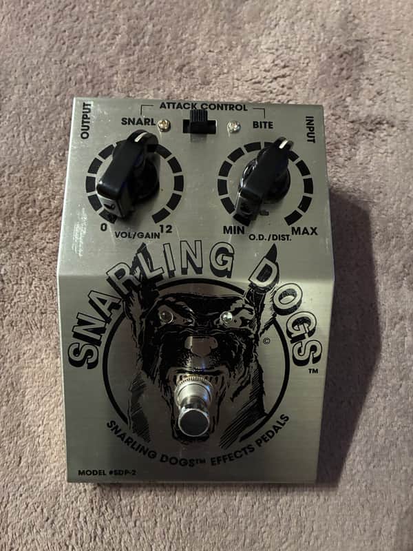 Snarling Dogs Black Dog
