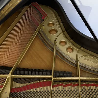 Steinway & Sons Model A 1917 Grand Piano – 6'2" – Professionally Restored – Satin Ebony image 9