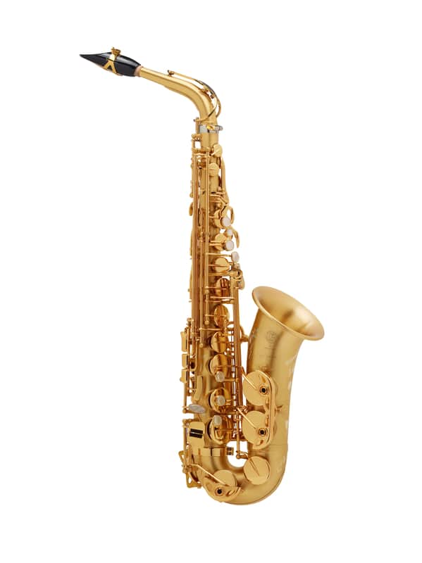 Selmer Paris 82SIGM Professional Alto Saxophone, Matte w Lacquered Keys image 1