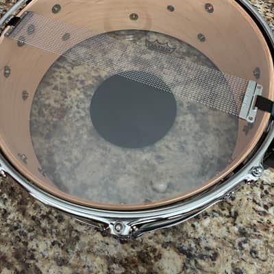Premier 14x5.5 Vintage Maple Snare…rare! image 6