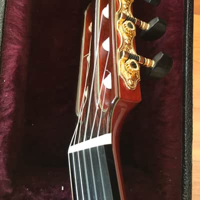 Sand Guitars electric nylon string Mahagoni - Barbera pickup image 6