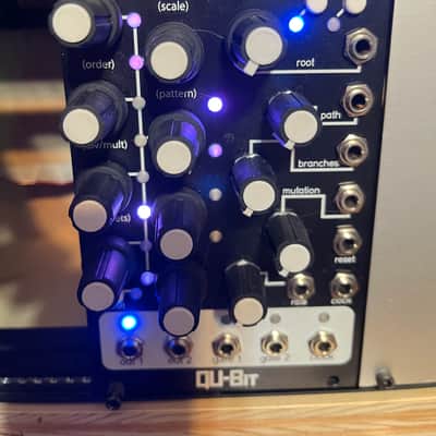 Qu-Bit Electronix Bloom 2019 - Present - Black image 1