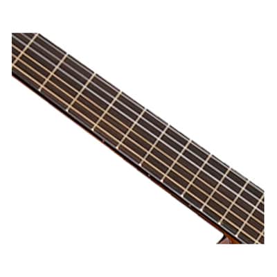 Washburn C5 Classical Series Acoustic Guitar - Open Box image 3