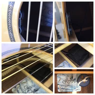 2005 Seagull Artist Series Studio CW 6-String Acoustic-Electric Guitar with Case image 25