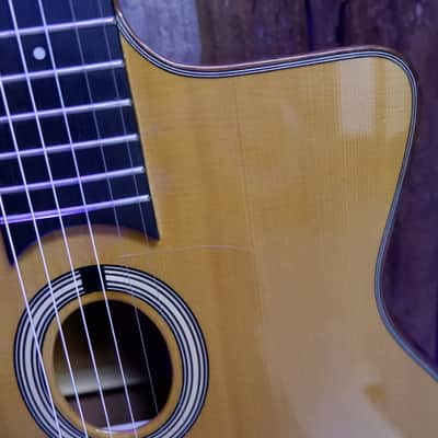 DuPont MD50 Gypsy Jazz Petite Bouche 2014 image 9