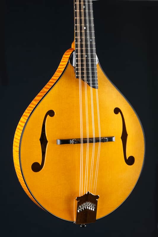 Collings MT2 Honey Amber Adirondack Spruce and Flamed Maple Mandolin NEW image 1