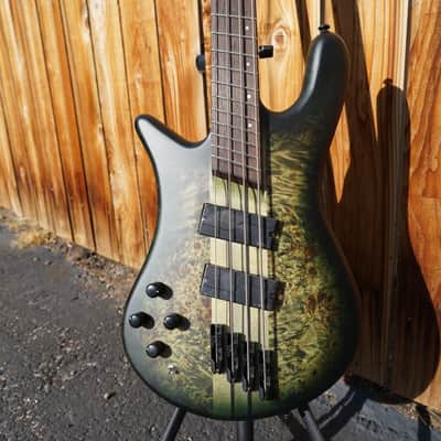 Spector NS Dimension 4 Multi Scale Haunted Moss Matte Left Handed 4-String Bass Guitar w/ Gig Bag (NOS) image 1