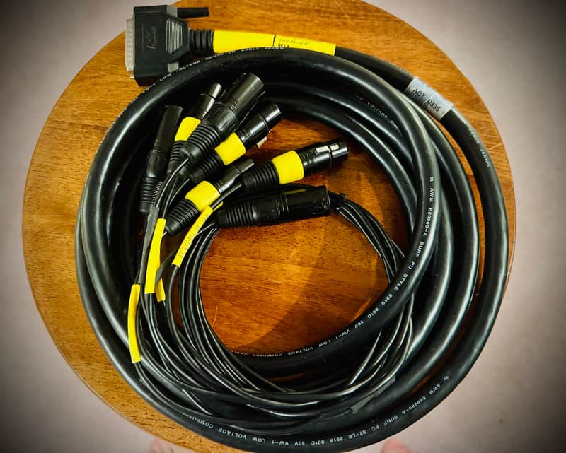 Avid DB25 to XLR M+F AES/EBU DigiSnake - 12 foot / 12’ image 1