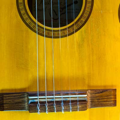 Giannini GN-50 Guitar (small parlor short-scale 12-fret classical nylon vintage 3/4 size BRAZIL) image 9