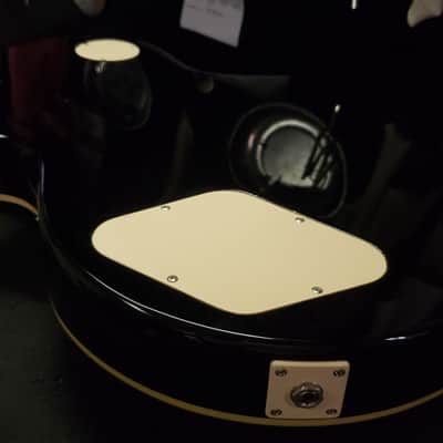 Epiphone Les Paul Standard 2012  + Hard Case image 11