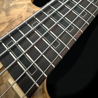 Elrick Basses EVO Gold 5 - Ambrosia Maple 2024 - Satin image 6