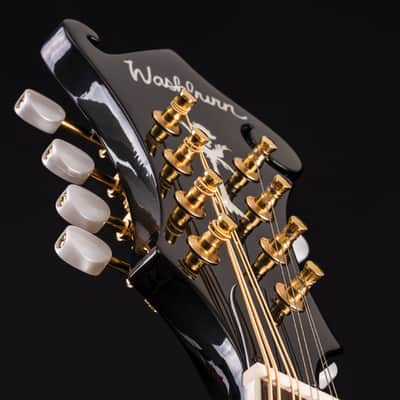 Washburn M1SDLB Bluegrass Series A-Style Mandolin. New with Full Warranty! image 12