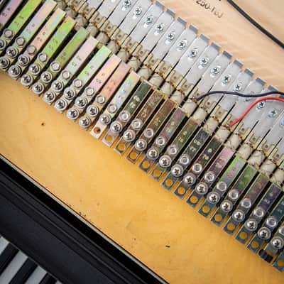 1982 Rhodes Mark II Stage 88 "Thompson" image 19