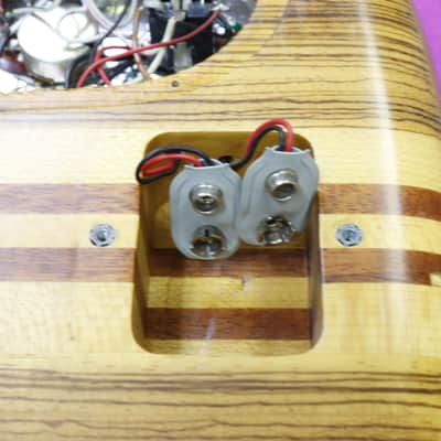 FERNANDES FAB-170 1979 Lefty Alembic style Bass image 17