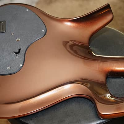 2006 Parker Fly Mojo Mahogany Piezo Duncan Pickups Hard Shell Case Tools 9 and 10 Springs image 9
