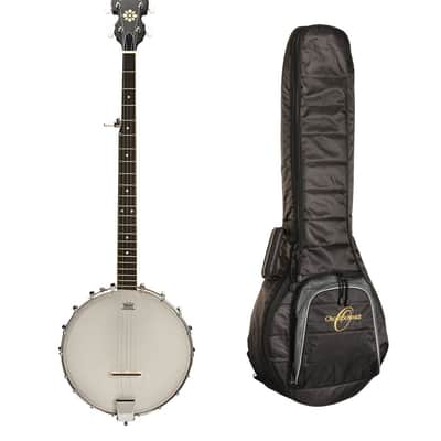 Aria SB-600 Deluxe 5 String Banjo | Reverb