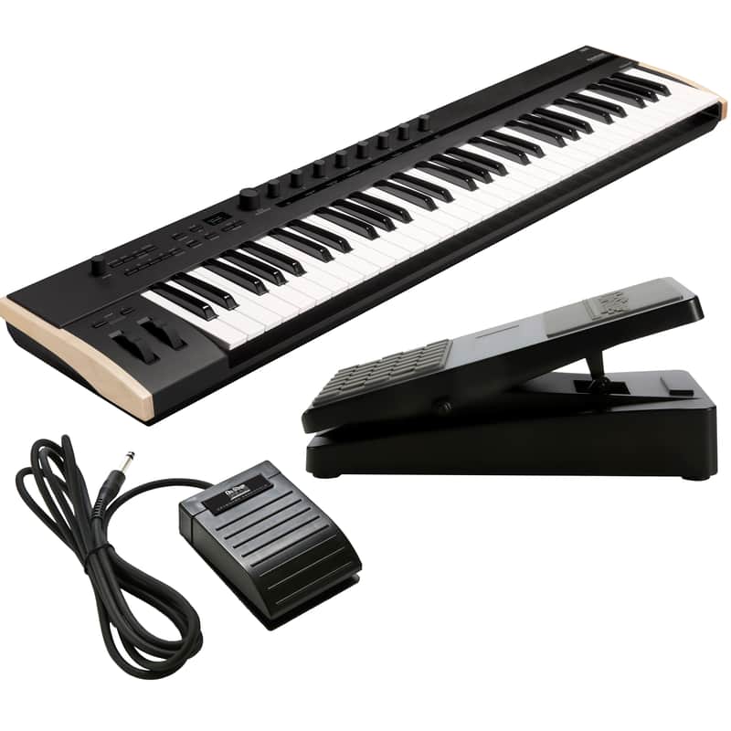 Korg Keystage 61 Poly AT MIDI Keyboard Controller PEDAL KIT image 1