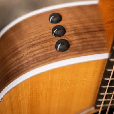 Taylor 214ce Grand Auditorium Acoustic/Electric Guitar with Gig Bag image 12