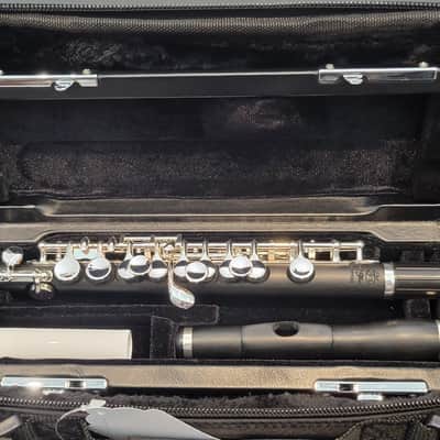 Di Zhao DZP 102 Composite Wood Student Piccolo image 1