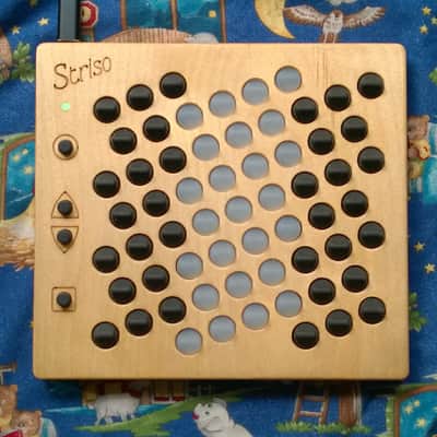 Striso board 2022 image 2