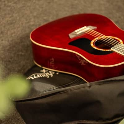 Washburn WD100DL Dreadnought Mahogany Acoustic Guitar w/ Gigbag (WD100DLTWRK-A-U) image 6