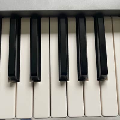 Korg Triton 61-Key 62-Voice Polyphonic Workstation 1999 - 2000 - Silver image 9