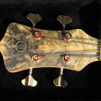 2003 Alembic Stanley Clarke FRETLESS BUCK-EYE BURL Europa Electronics - STUNNING! image 7