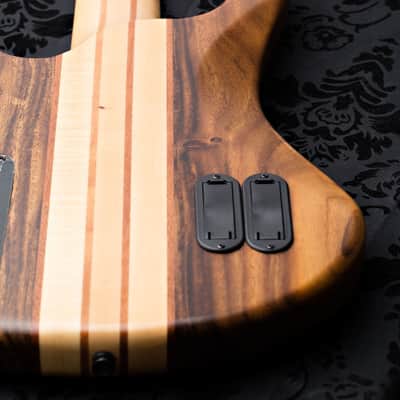 Wolf 5 String Bass Walnut image 14