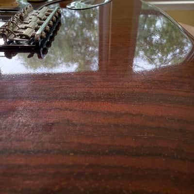 Fender Custom Shop 1969 Rosewood Stratocaster Lush Closet Classic Master Built by Kyle McMillin w/ African Blackwood Fingerboard & Chicago Special Pickups image 10