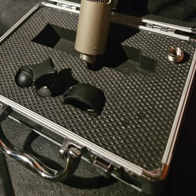 Royer R-10 Passive Ribbon Microphone 2010s - Nickel imagen 2