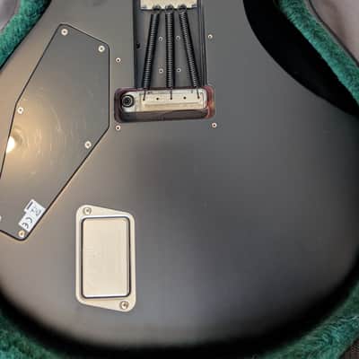 ESP RZK-II Burnt 2010 *RARE* Black binding - hard burnt image 9