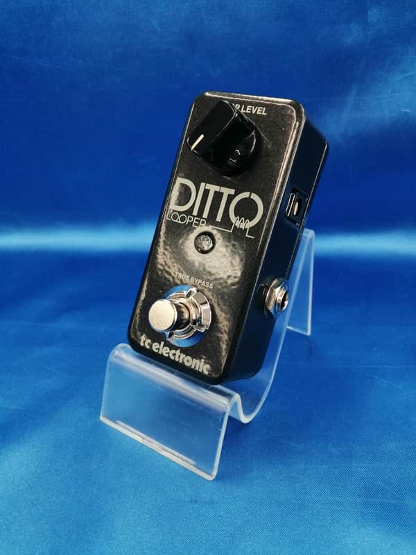 TC Electronic DITTO LOOPER