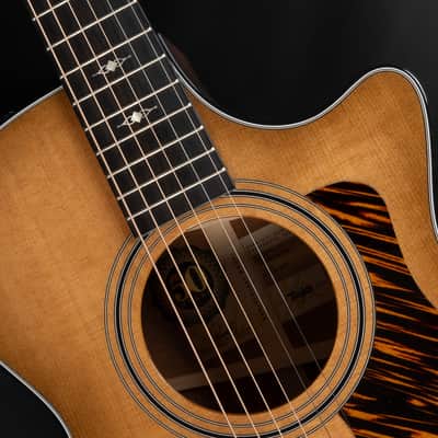 2024 Taylor Limited Edition 50th Anniversary 312ce - Shaded Edgeburst | USA All Solid Grand Concert Acoustic Guitar V-Class Bracing Cutaway Pickup | OHSC image 20