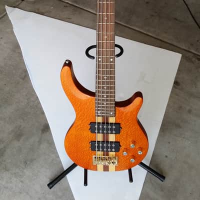 Copley 5 String Bass image 1